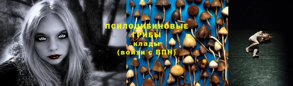 PSILOCYBIN Беломорск